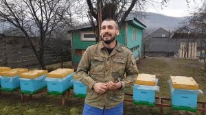 Где разместить пасеку.