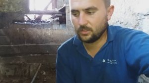 Вывод утят под индоуткой! Сколько уток у меня сидит? Поздние индоутята - выводить или нет?