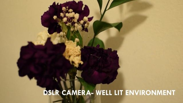 First Look: Raspberry Pi Night Vision Camera смотреть онлайн