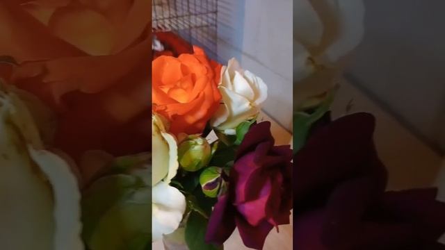 Вот такой букетик роз собрала у себя в саду?? #розы #сад #садогород #садмечты #домашнийвлог #дача смотреть онлайн
