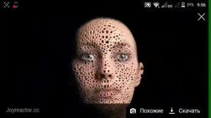 Смотрю картинки трипофобии ,.. АА это УЖАСС