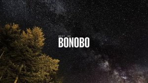 Best of Bonobo