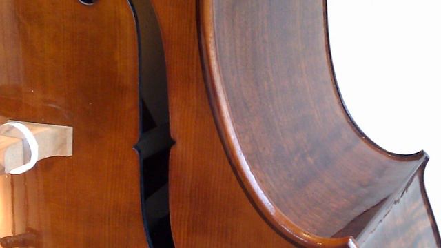 My New Nick Lloyd's 5 String Double Bass! смотреть онлайн