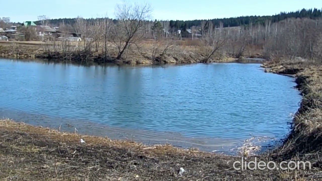 Пруд возле Стадиона. смотреть онлайн