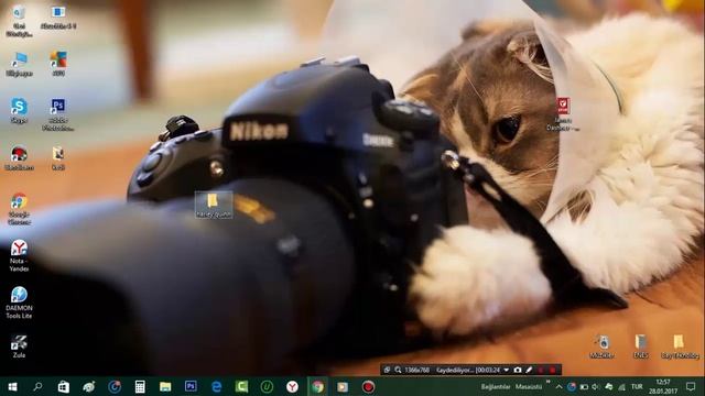 Harley Quınn -Photoshop - 500 pksHD-16 bit смотреть онлайн