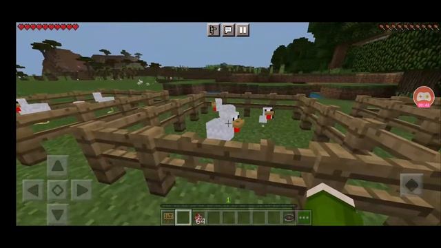 3 способа размножить куриц в Майнкрафте.