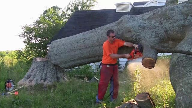 Husqvarna 350 смотреть онлайн