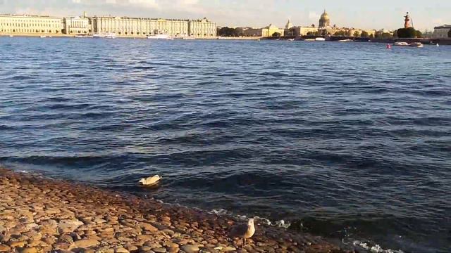 Мелодия Невы. Петербург вечерний. Солнечный вечер. смотреть онлайн
