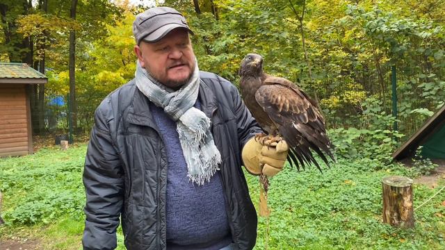 Видеолекция: Осоеды смотреть онлайн