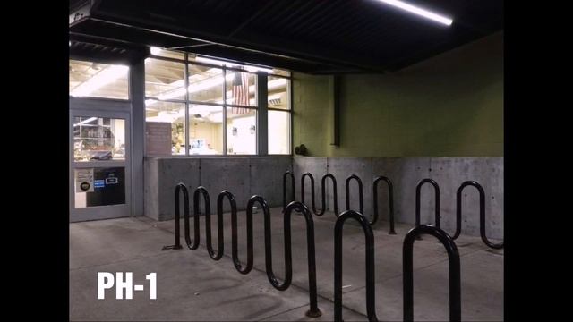 Essential PH-1 Vs Google Camera APK, CAMERA COMPARISON