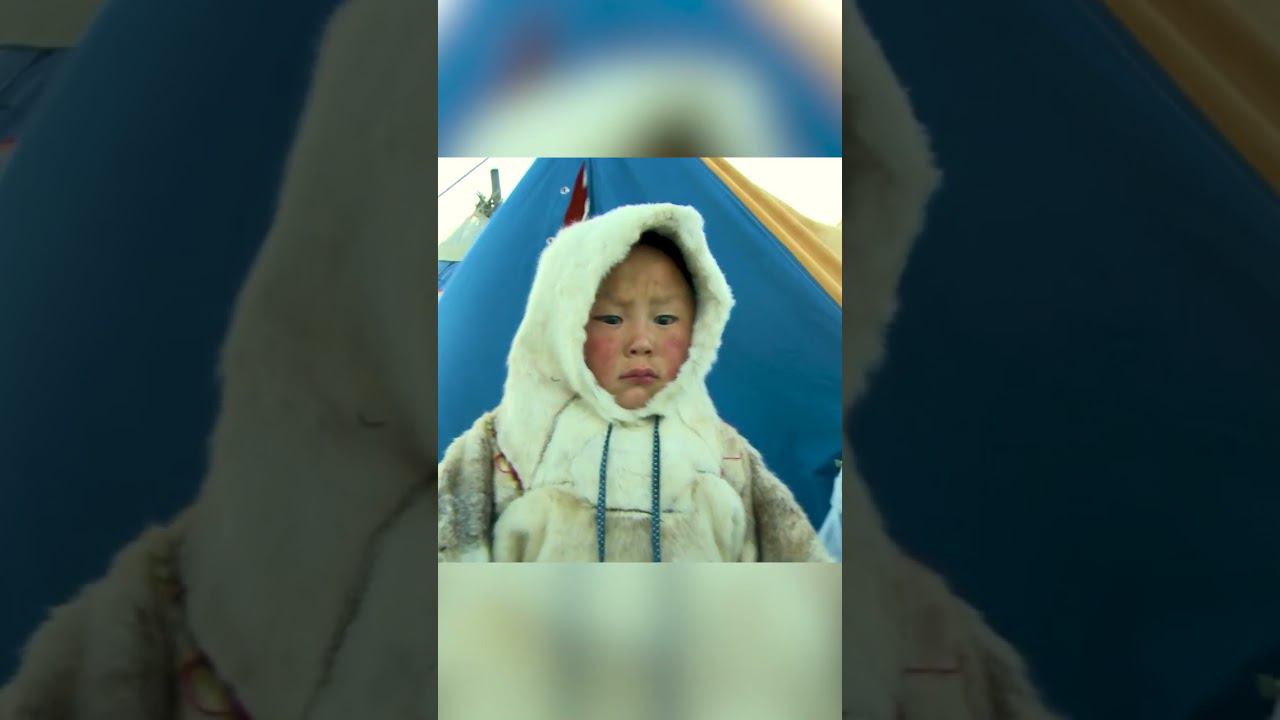 Община Ямб То 1 смотреть онлайн
