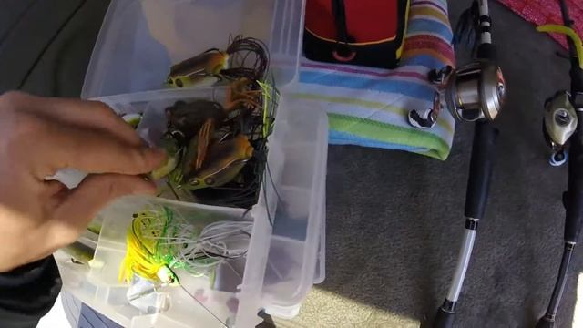 VLOG #8 ~ My Fishing Gear & Tackle | Georgia Outdoors смотреть онлайн