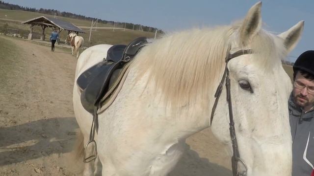 Конная прогулка в усадьбе Буцевичи | Апрель, 2018 смотреть онлайн