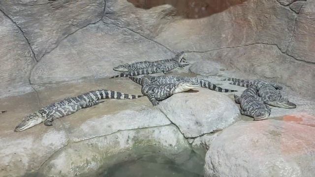 Бухгалтерия в полном составе ! смотреть онлайн