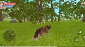 НИКОГДА НЕ ВЫЗЫВАЙ DAY 17 В ВАЙЛД КРАФТ!😰(ИДЕЯ НЕ МОЯ!!!)#вайлд #СТРАШИЛКИ#котоБул