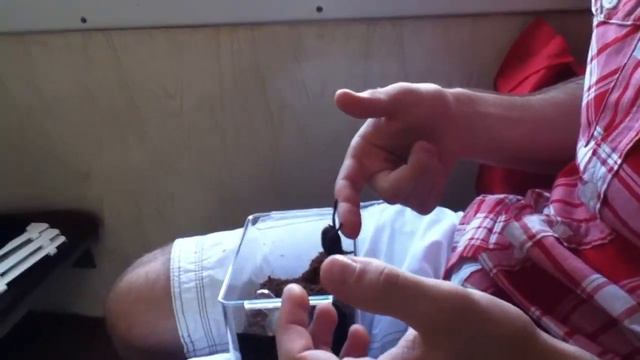 Мой Друг Контрабас И Его Друзья смотреть онлайн