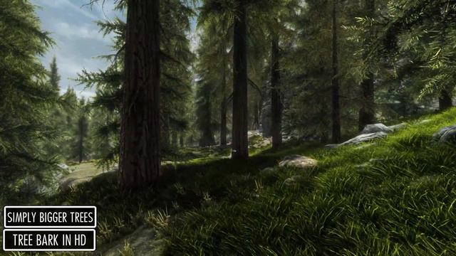 Turning Skyrim into a 2021 NEXT GEN EXCLUSIVE with MODS! смотреть онлайн