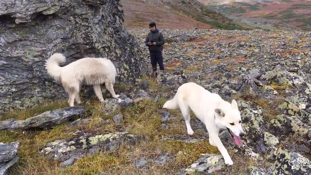 141 километр 2-й день 9 сентября 2017 года