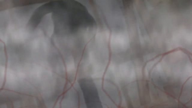 P. brane and the Cosmological Constant - Alone (Silent Hill 2 Cover) смотреть онлайн