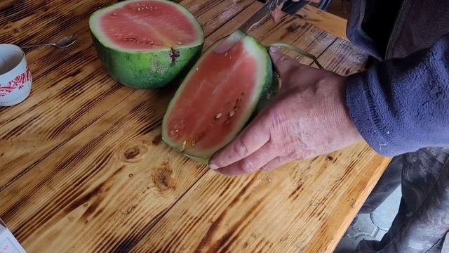 ?Квадратные арбузы из Сибири? смотреть онлайн
