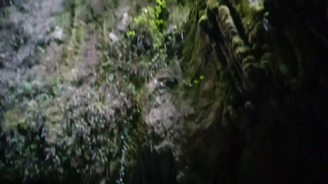 Свирское ущелье Водопад 25.06.23 смотреть онлайн