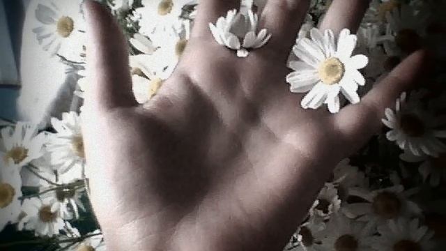 Моей Любимой Жене Наталье.wmv смотреть онлайн