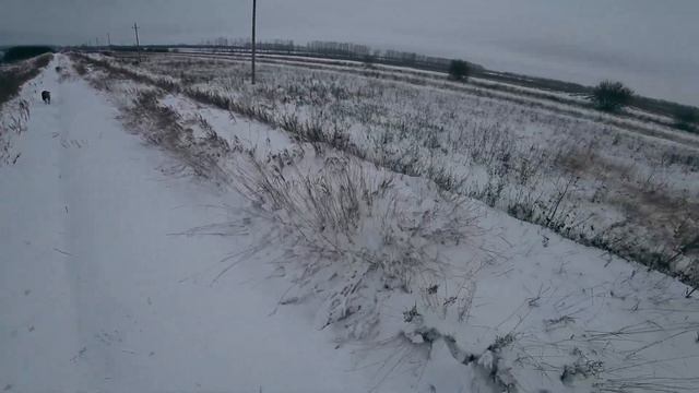 Добыл зайца по первому снегу. Охота на зайца. Открытие 2022 - 2023 смотреть онлайн