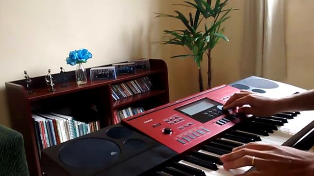 BRASS -Teclado CASIO CTK-6250