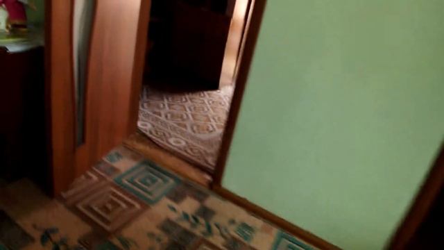 Соня и маленький кролик! смотреть онлайн