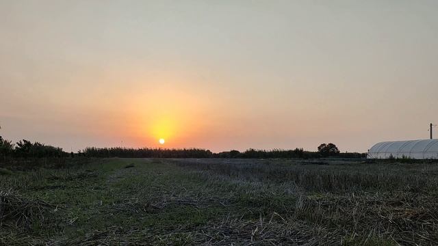 Musical sunset: a masterpiece view of farmland and trees in the embrace of the sun смотреть онлайн