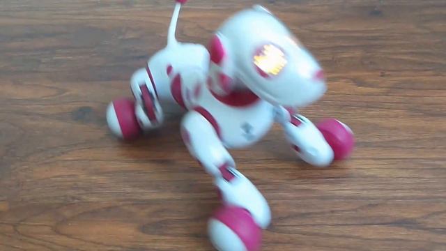Zoomer, zoomie твой настоящий друг смотреть онлайн