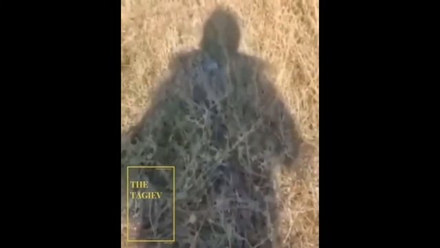 RSOTM - братан, привет