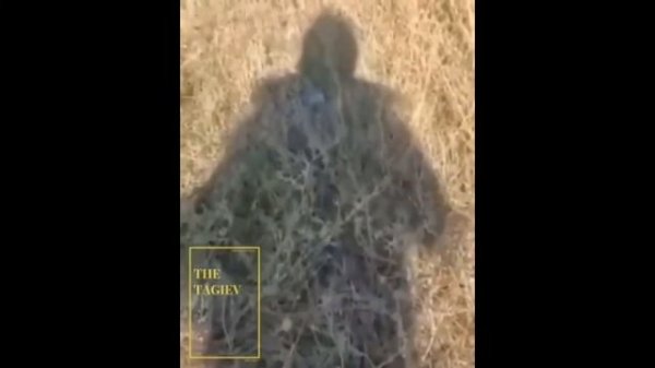 RSOTM - братан, привет