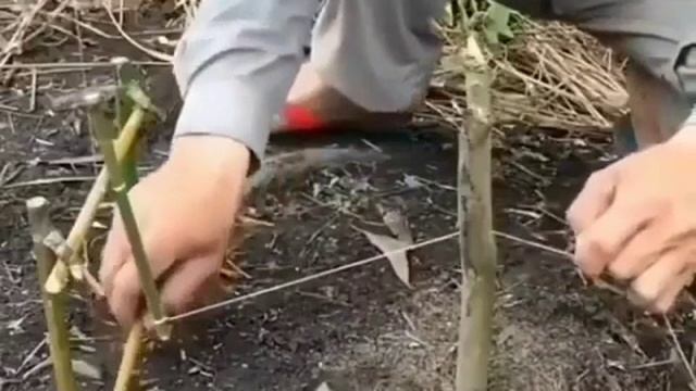 Лайфхак для рыбалки смотреть онлайн