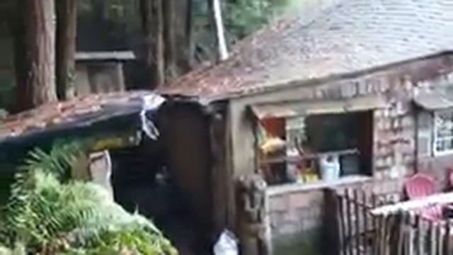 Домик в лесу. смотреть онлайн