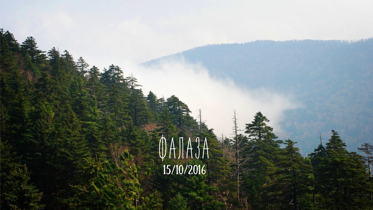 Гора Фалаза (Литовка), 1300 метров над уровнем моря! Октябрь 2016 смотреть онлайн