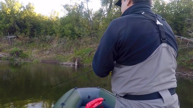 Сплавная рыбалка на реке Самара. Капризный голавль на Clutch SR от Lucky Craft смотреть онлайн