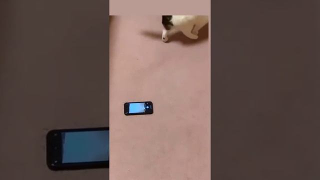 Неудачные дубли смотреть онлайн