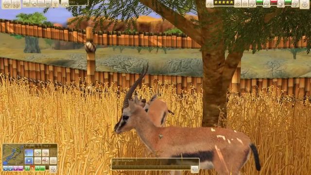 Wildlife Park 3 Thompsons Gazelle Gameplay HD смотреть онлайн