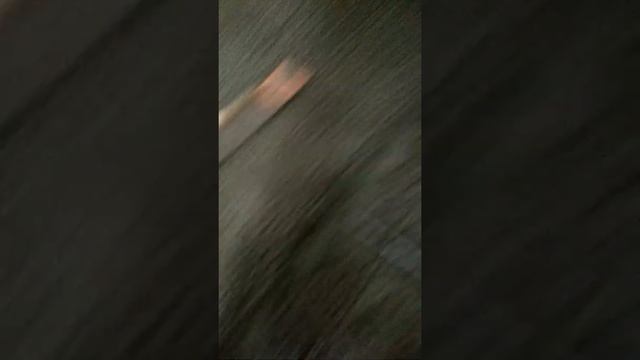 Заливка плиты перекрытия керамзитобетоном смотреть онлайн