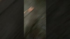 Заливка плиты перекрытия керамзитобетоном