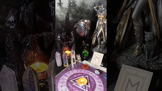 Руна Эваз. смотреть онлайн