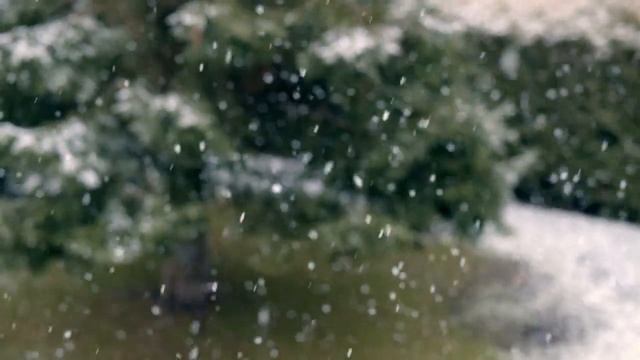 "Щедрик Щедрик Щедрівочка"⛄❄ смотреть онлайн