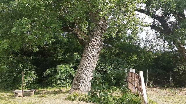 20220615_170224.mp4 смотреть онлайн