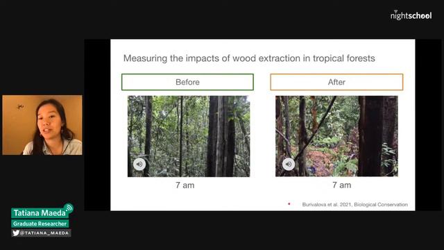 NightSchool: Rainforests