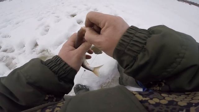 СОРОГА( плотва) ЛЕЩ. На мотособаке.отчёт с рыбалки смотреть онлайн