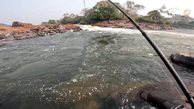 O QUE FEZ ISSO PODE TER VINDO DE OUTRO PLANETA E AINDA O LUGAR ESTAVA CHEIO DE PEIXES. Pesca. смотреть онлайн