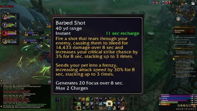 The ULTIMATE BM Hunter Guide For Dragonflight Patch 10.0 смотреть онлайн