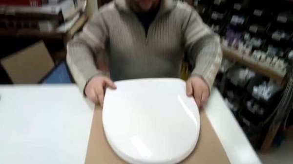 Как выбрать сиденье для унитаза