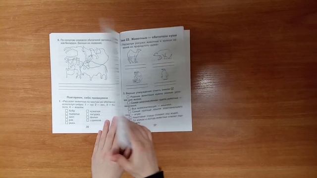 Человек и мир. Тетрадь для работы на уроках. 3 класс. смотреть онлайн